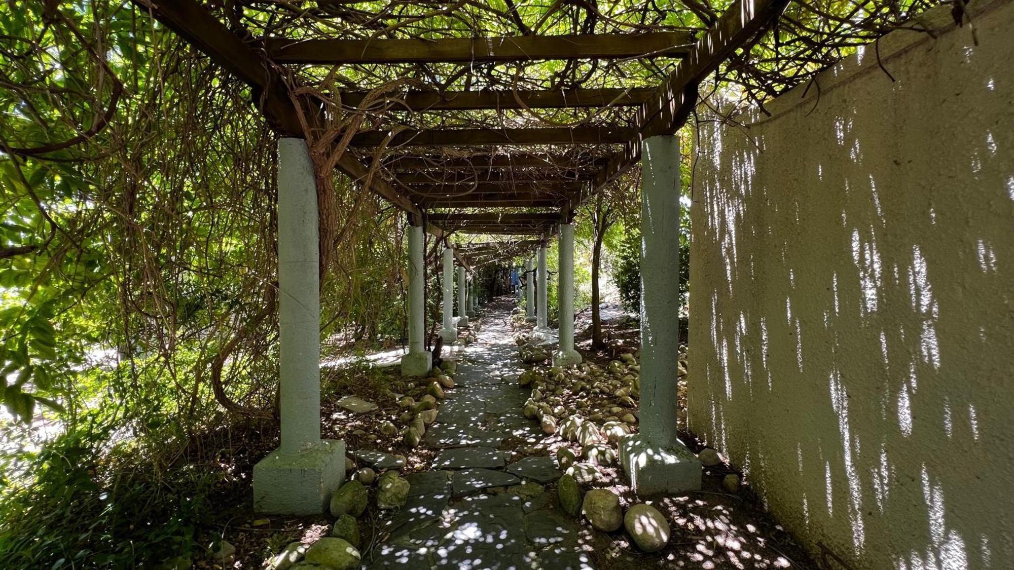 In The Vine Country Manor Guesthouse Стеленбош Екстериор снимка