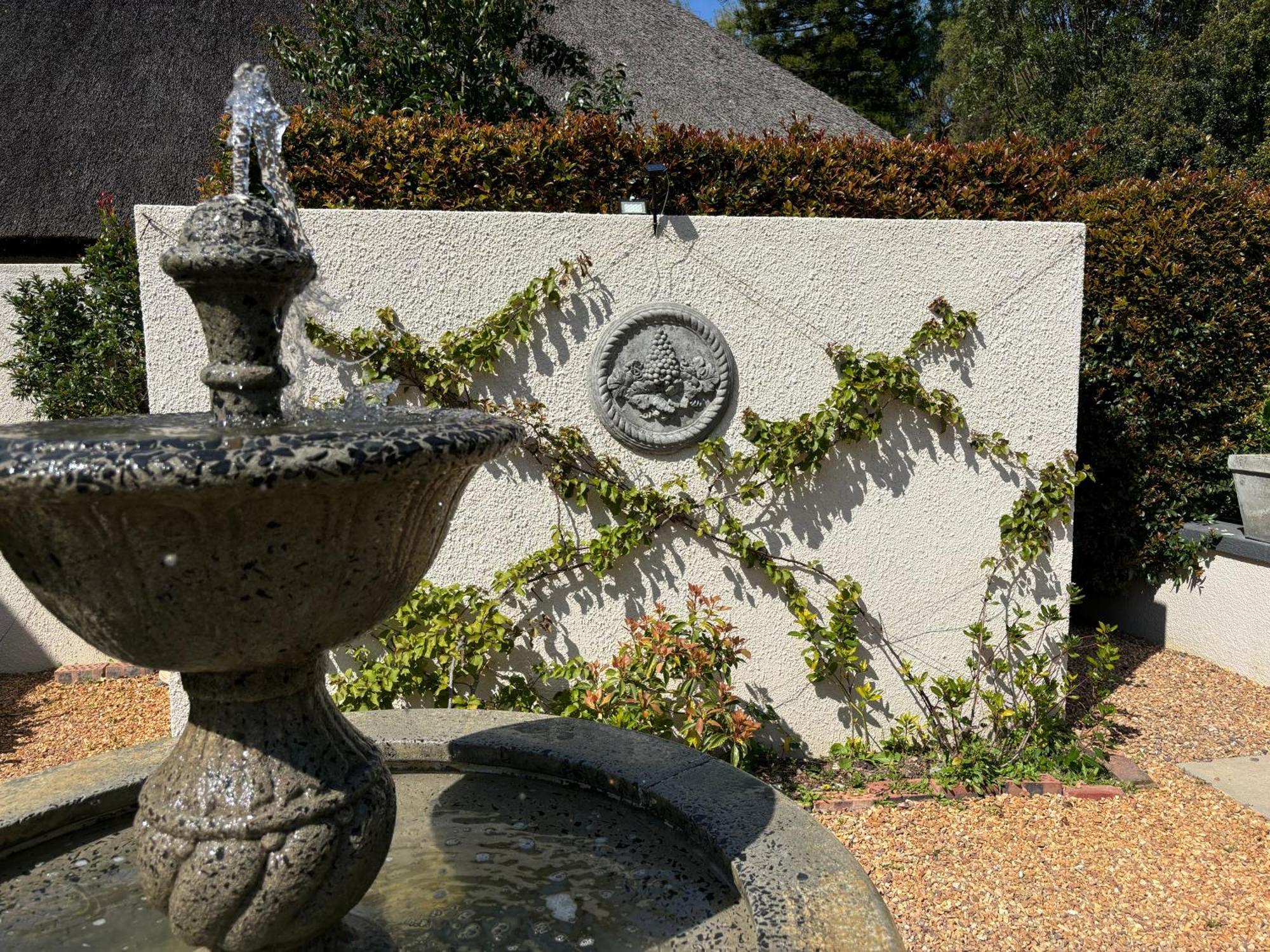 In The Vine Country Manor Guesthouse Стеленбош Екстериор снимка