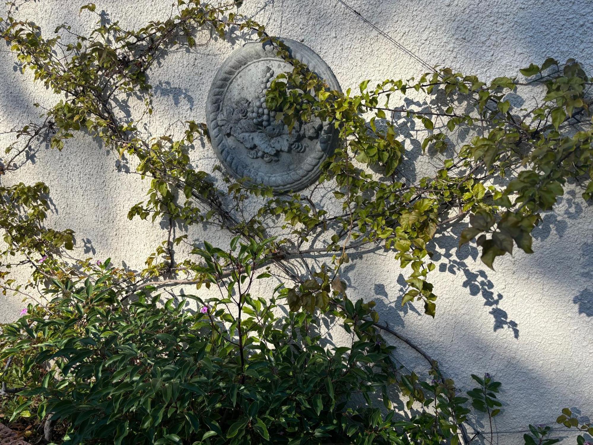 In The Vine Country Manor Guesthouse Стеленбош Екстериор снимка
